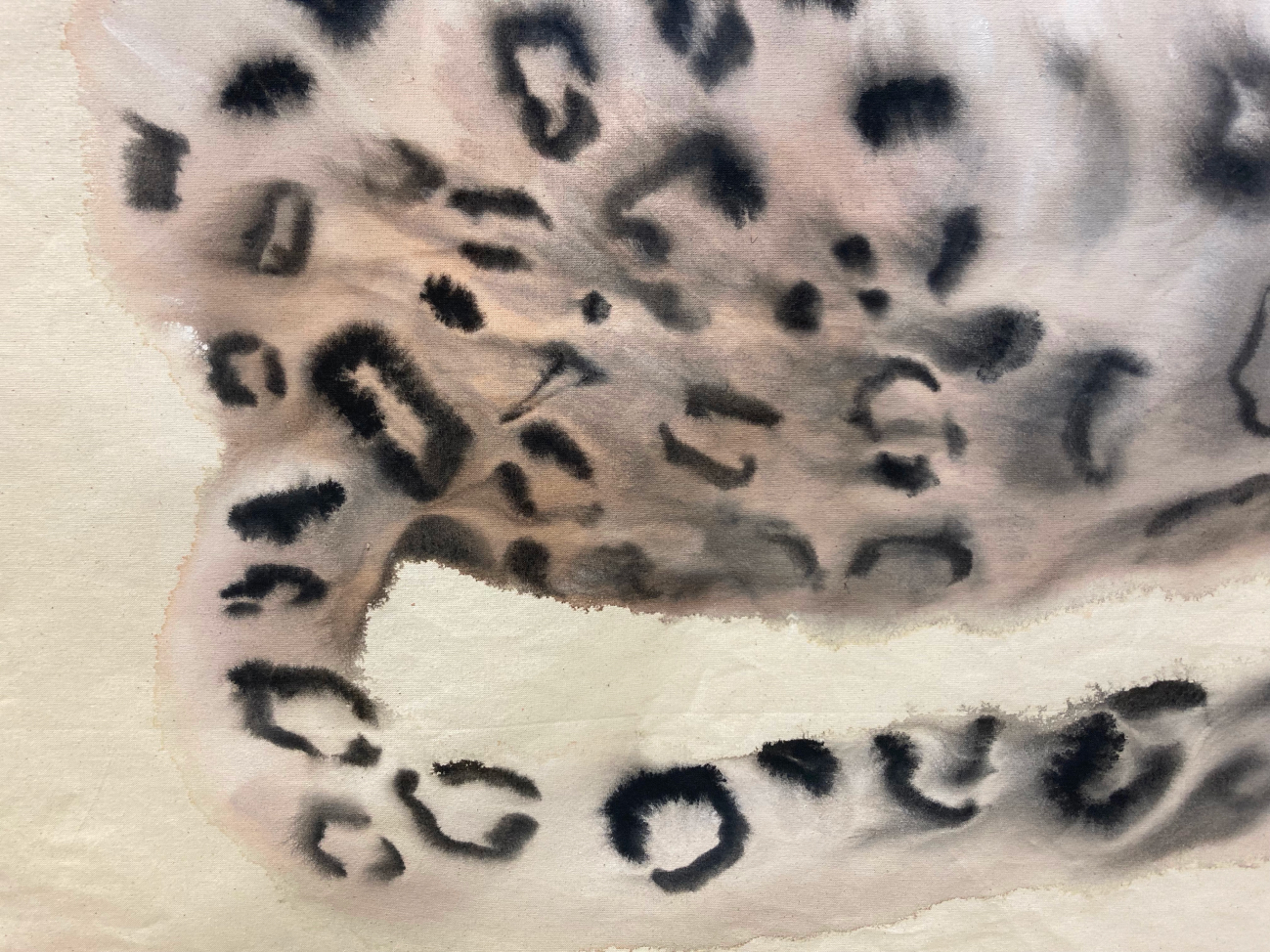 snow leopards fragment tail