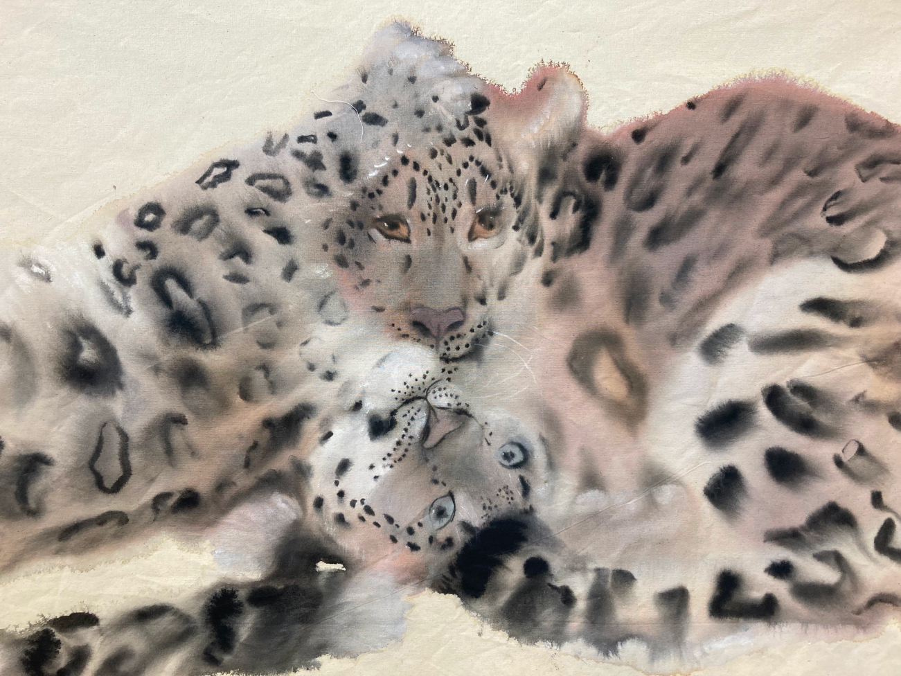 snow leopards fragment faces